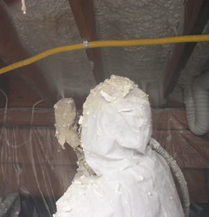  FL crawl space insulation